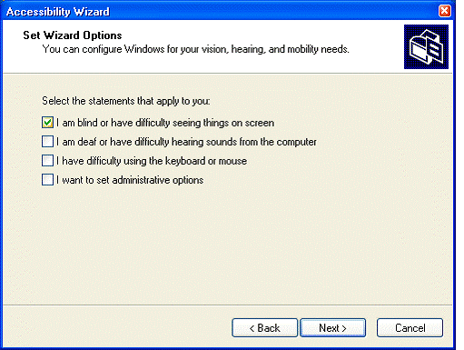 Screenshot of the Accessibility Wizard "Set Wizard Options" dialog box open with the "I am blind or have difficulty seeing things on screen" checkbox selected under "Select the statements that apply to you."